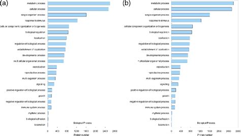 Gene Ontology Functional Characterisation Of The Identified Proteins