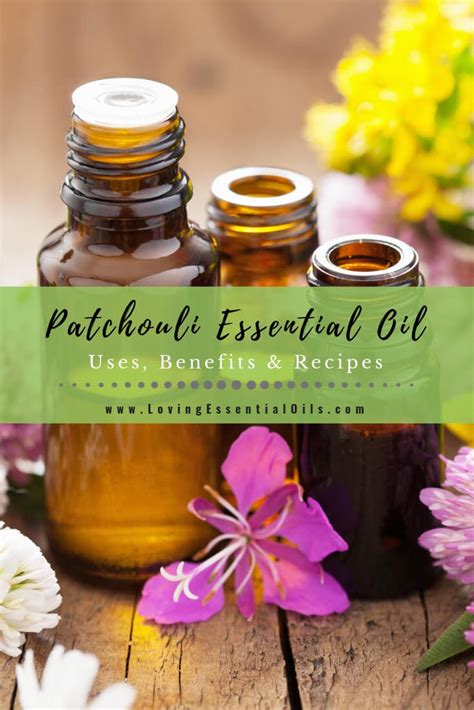 Patchouli Essential Oil Uses Benefits And Recipes Eo Spotlight