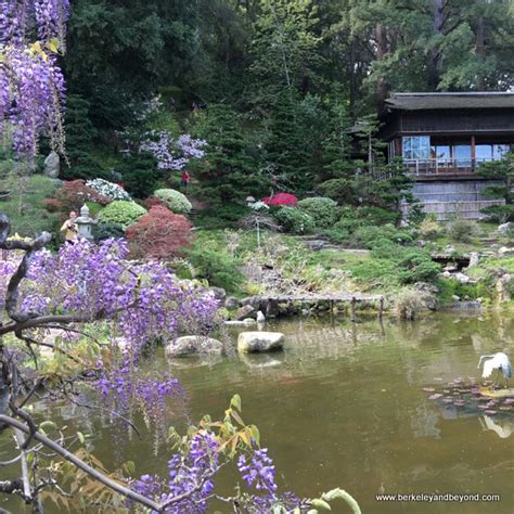 Weekend Adventures Update Saratoga Hakone Gardens Things To Do