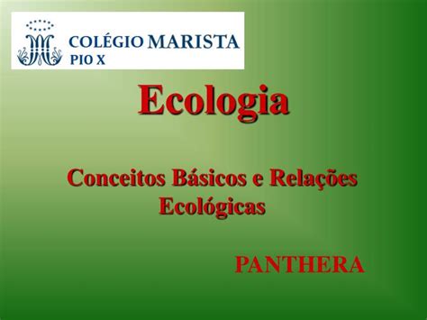 Ppt Ecologia Powerpoint Presentation Free Download Id944229