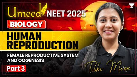 Umeed Neet 2025 Human Reproduction Female Reproductive System And Oogenesis Tulika Jha Youtube