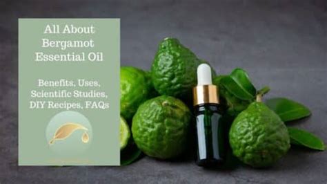 Bergamot Oil User Guide Uses Benefits Recipes And Faqs