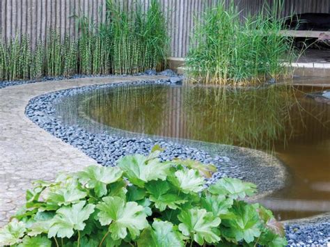 Plante de bassin 19 idées pour décorer votre petite oasis