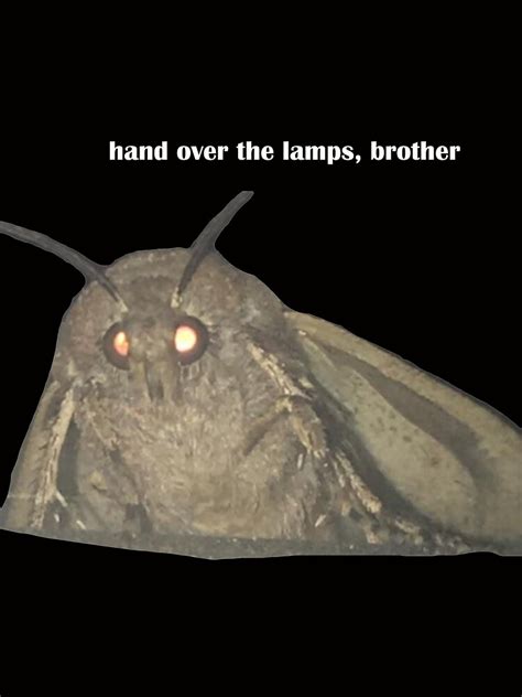 "Moth Meme Lamp" T-shirt by edenbouskila | Redbubble