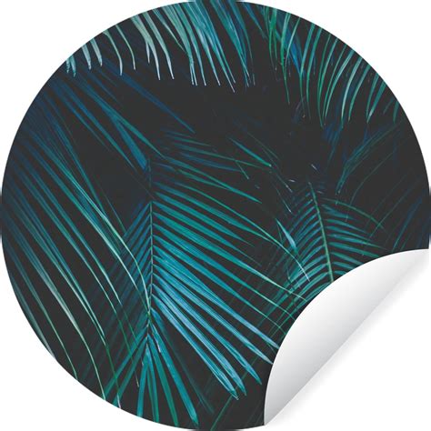 Wallcircle Muurstickers Behangcirkel Palm Palmboom Tropisch