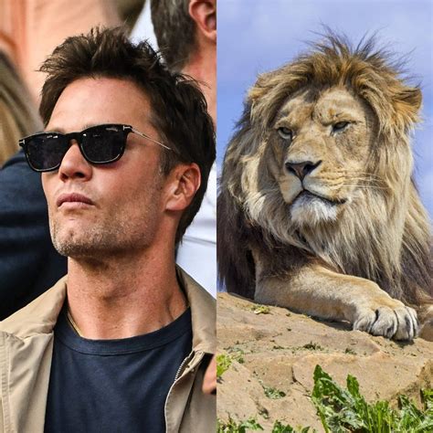 Au Milieu Dun Safari Africain Avec Sa Fille De Ans Tom Brady