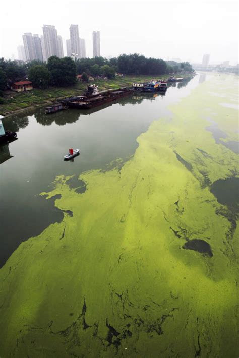 26 Shocking Photos Of The Pollution In China's Yangtze River