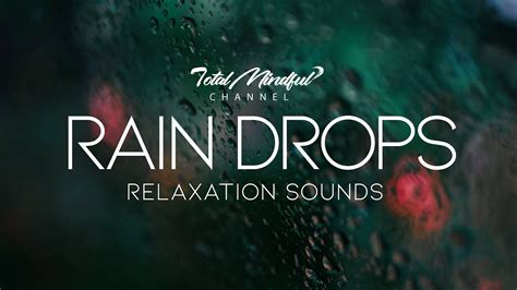 1 Hour Of Rain Drops Sounds For Relaxing Sleeping Meditating Yoga