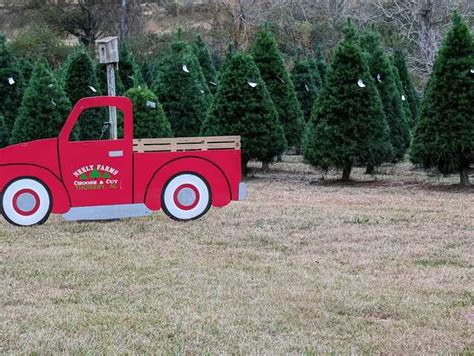 Sweet Grown Alabama Christmas Trees