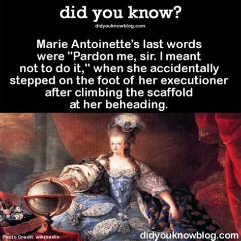 Did you know? Marie Antoinette's last words. | Weird facts, Wtf fun ...