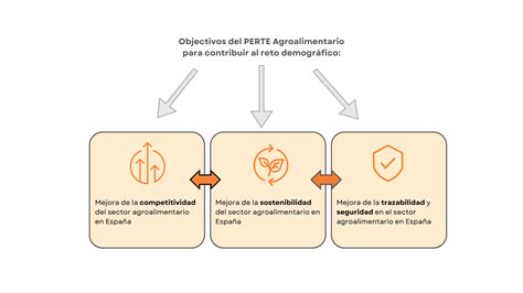 PERTE Agroalimentario Una oportunidad única para tu empresa en este