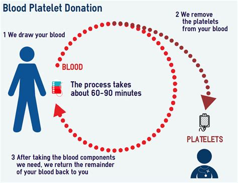 Transfusions And Platelet Donations The Platelet Society