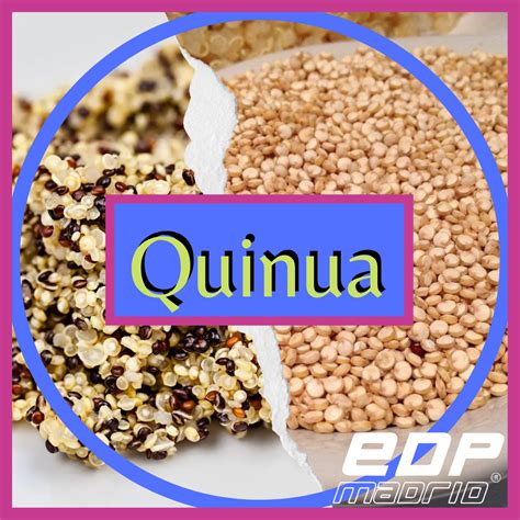 ¿conoces Las Propiedades De La Quinua Edpmadrid