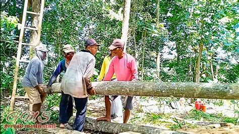 BERAT BOSS Kayu Akasia Di Gergaji Serkel Rakitan Bahan Rumah Jawa