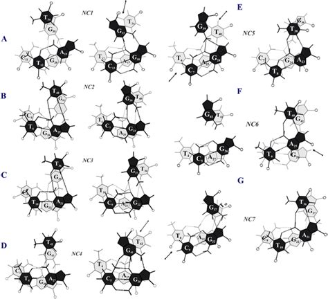 DNA-RNA hybridization | PLOS ONE