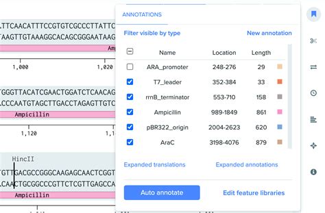 Sequence Annotation Benchling