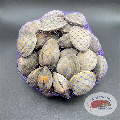 Fresh Littleneck Clams | Caudle's Catch Seafood