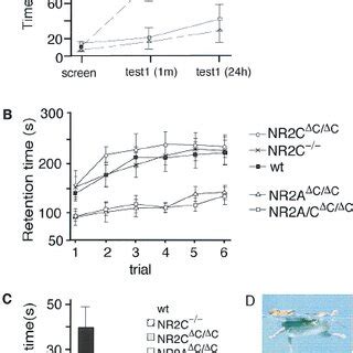 Contextual Fear Conditioning And Motor Coordination In Mutant Mice A