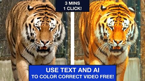 Click Video Color Correction Using Text Free Ai Tool Youtube