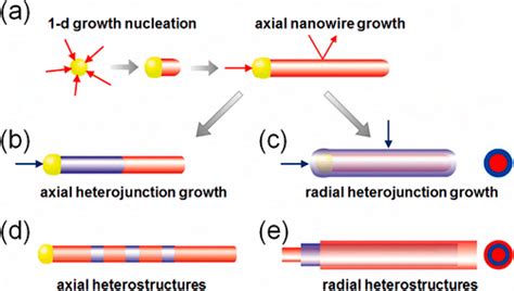 Schematic Illustration Of Nanowire Heterostructures Growth A Download Scientific Diagram