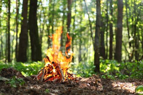 Bonfire. stock image. Image of equipment, glow, inferno - 29064753