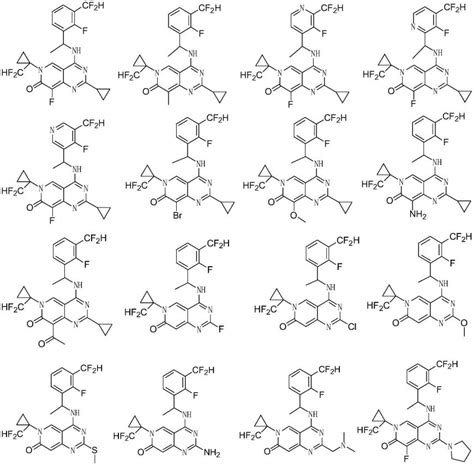 一种具有抗肿瘤活性的杂环化合物及其用途的制作方法