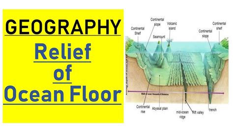 Ocean Floor Diagram Exatin Info