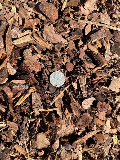 Mini Pine Bark Mulch Bella Mulch