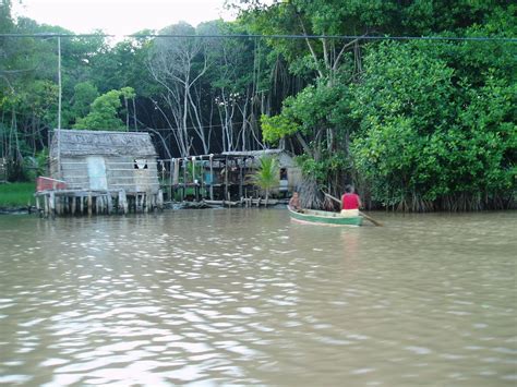 Venezuela Estado De Zula Laguna De Sinamaica Luis Edua Luis