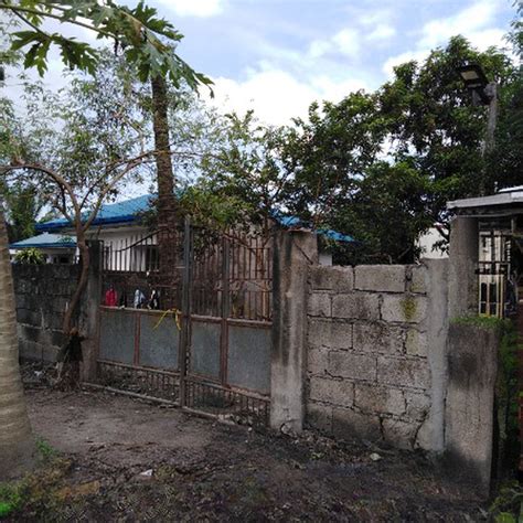 300 Sqm Residential Lot For Sale In Concepcion Tarlac Lot March