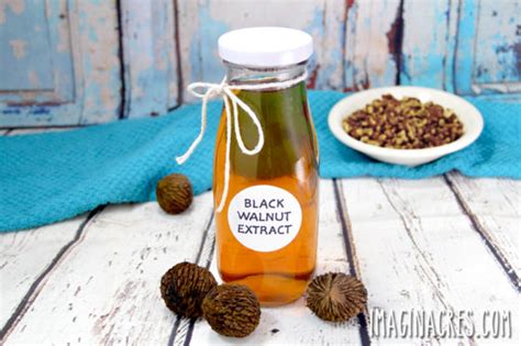 Use This Homemade Black Walnut Extract In Your Favorite Recipes To Add