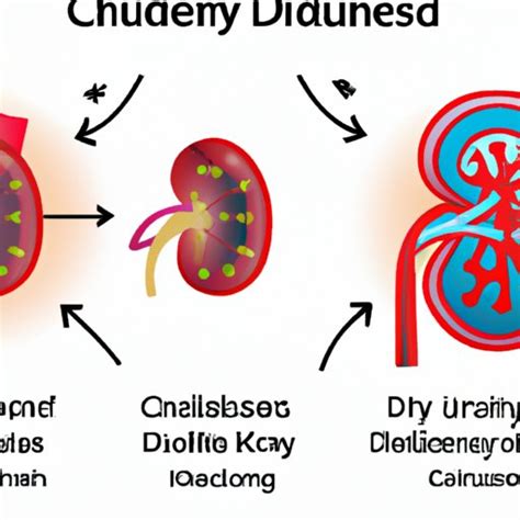 Understanding Chronic Kidney Disease Stage 3: Symptoms, Causes ...