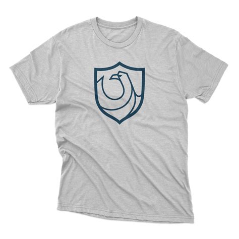 Harry Potter Ravenclaw Infinitos