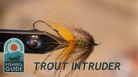 Trout Spey Fly Patterns Trout Intruder Fly Youtube