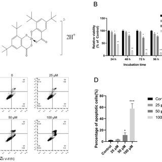 Zn Ch C Sal Inhibits Cell Viability And Induces Apoptosis Of