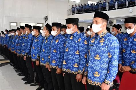 Jutaan Tenaga Honorer Diangkat Pppk Tanpa Tes Ini Rinciannya