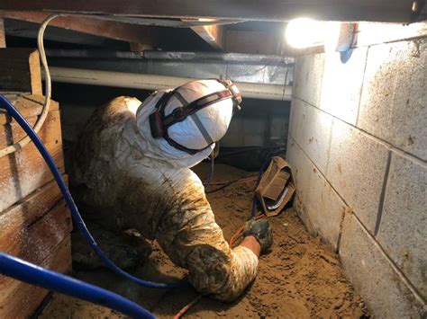 Crawl Space Repair Mold Free Crawl Space In Princeton IN Fungus