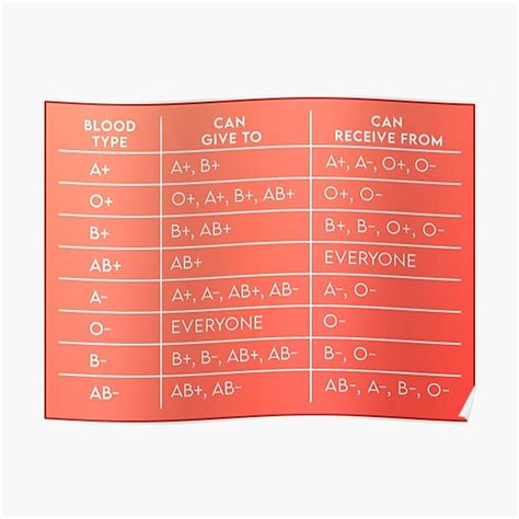 Blood Type And Compatibility Chart Premium Matte Vertical Poster Designed & Sold By Wicket ...