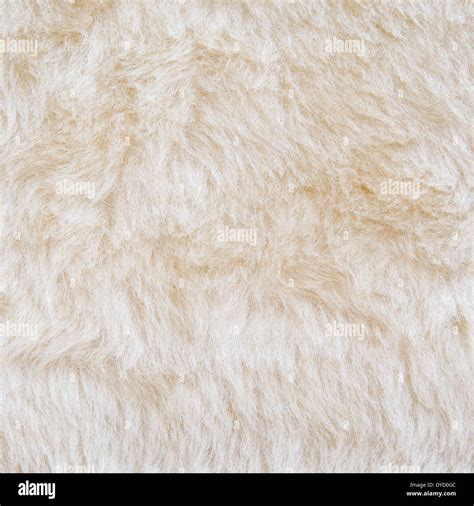 White Fur Of Polar Bear Texture Background Stock Photo Alamy