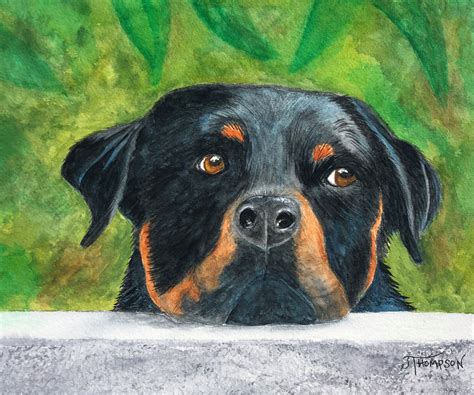 Rottweiler Art Original Watercolor Paining Or Giclée Art Etsy Uk