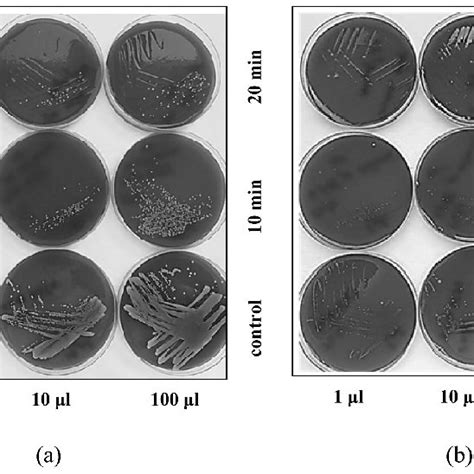 Representative images of colony morphology of (a) Staphylococcus aureus ...