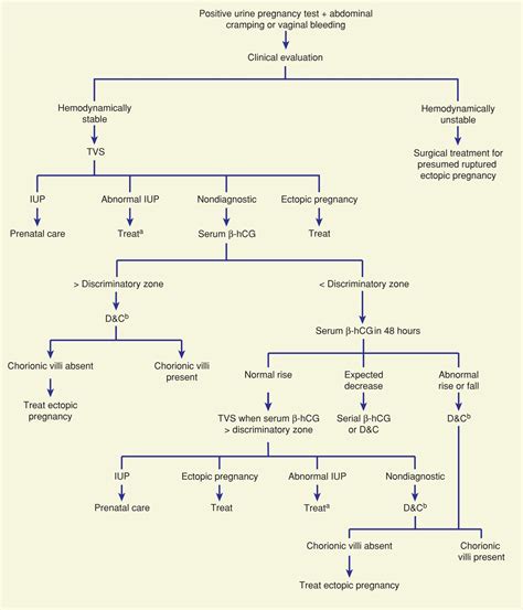 Ectopic Pregnancy | Obgyn Key