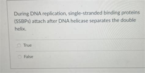 Solved During DNA replication, single-stranded binding | Chegg.com