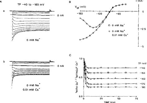 Figure From Voltage Dependent Block Of Cardiac Inward Rectifying