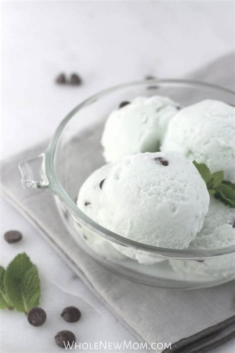 Vegan Mint Chocolate Chip Ice Cream With Low Carb Aip Options