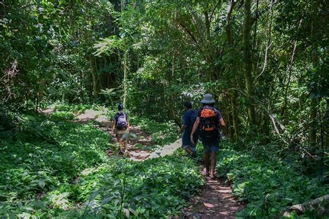 Descubra As Trilhas Mais Bonitas De Ilhabela Pousada Altamira