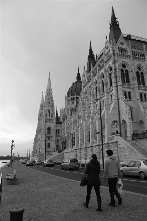 DAILY PHOTO Budapest Parliament In Black White Tiger Riding For