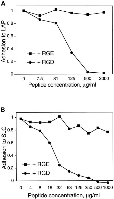 Interactions Between Growth Factors And Integrins Latent Forms Of