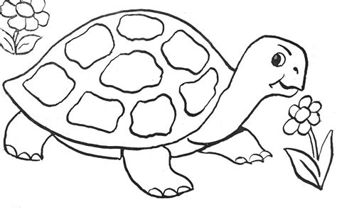 69 Dessins De Coloriage Tortue à Imprimer Sur Page 6