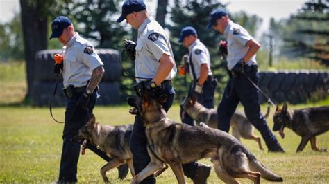 How Police Train Their Dogs